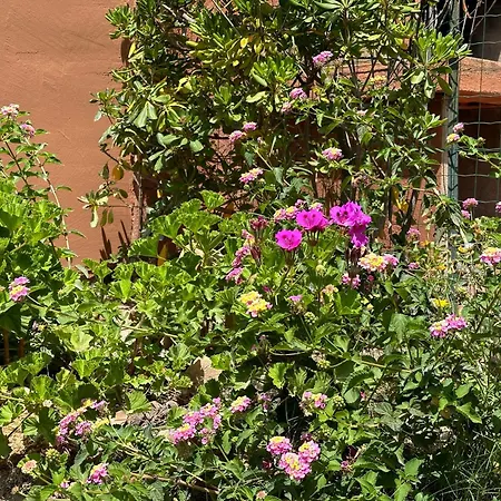 Sa Domu Pintada Holiday home