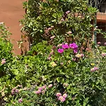 Sa Domu Pintada Holiday home